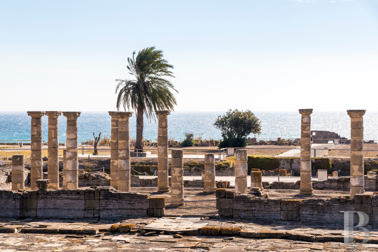 A former «cortijo» dedicated to holidays in Andalusia in the south of Spain - photo  n°31